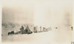 Image of Camp on sea ice - our tents